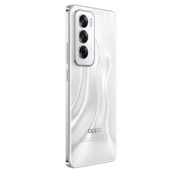 S3_Product images_ Black Brown_ back-CE-1 OPPO Reno12 5G